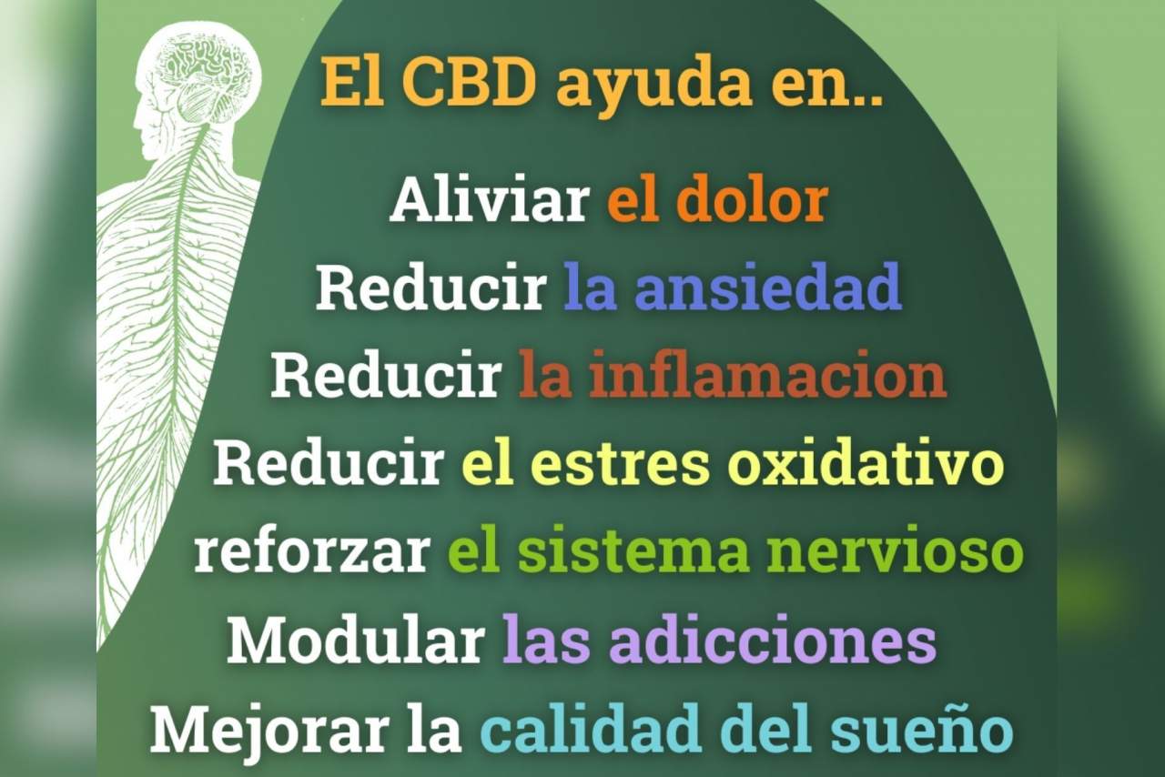 Spirit Natura: cannabis (CBD) ecológico y proyecto medioambiental