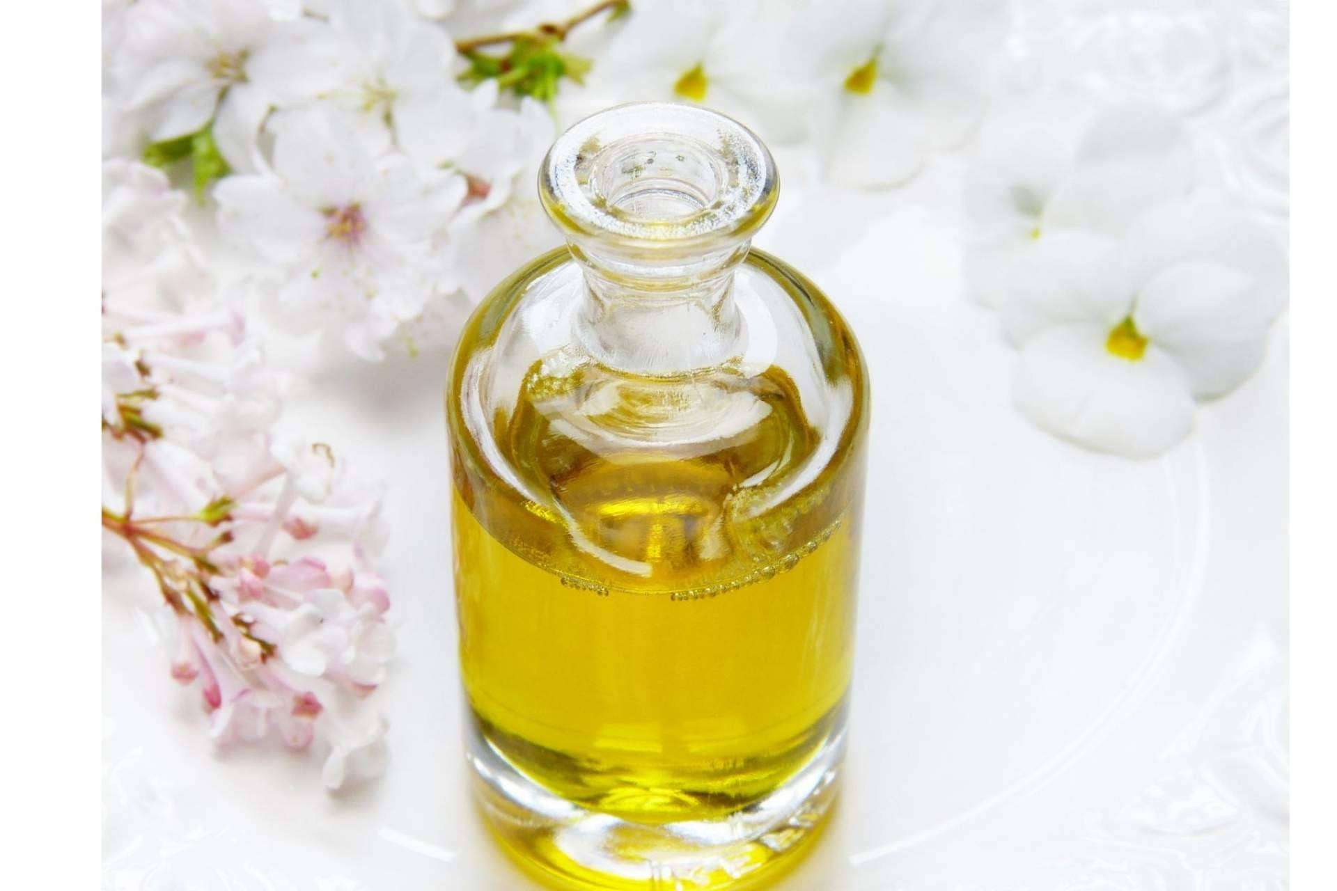 Wildcbd: opiniones del aceite CBD