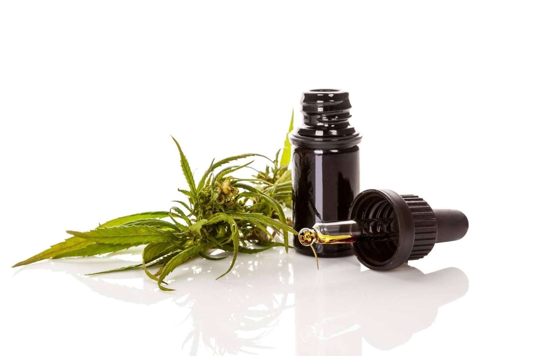 ¿Cómo puede el aceite CBD mejorar molestias musculares? La opinión de Legalhemp Biocosmetic