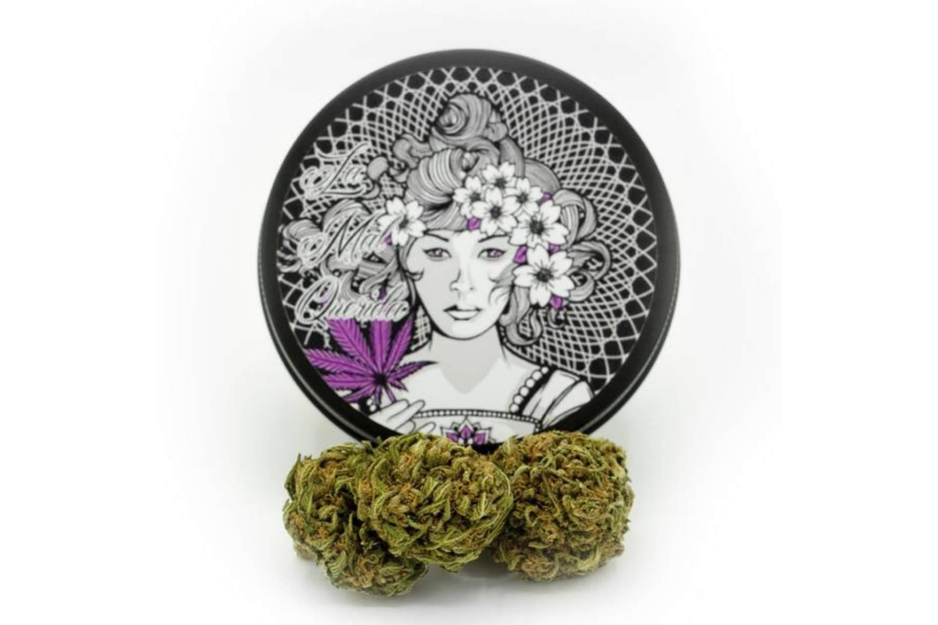 ¿Es legal comprar CBD en España?: La Mal Querida