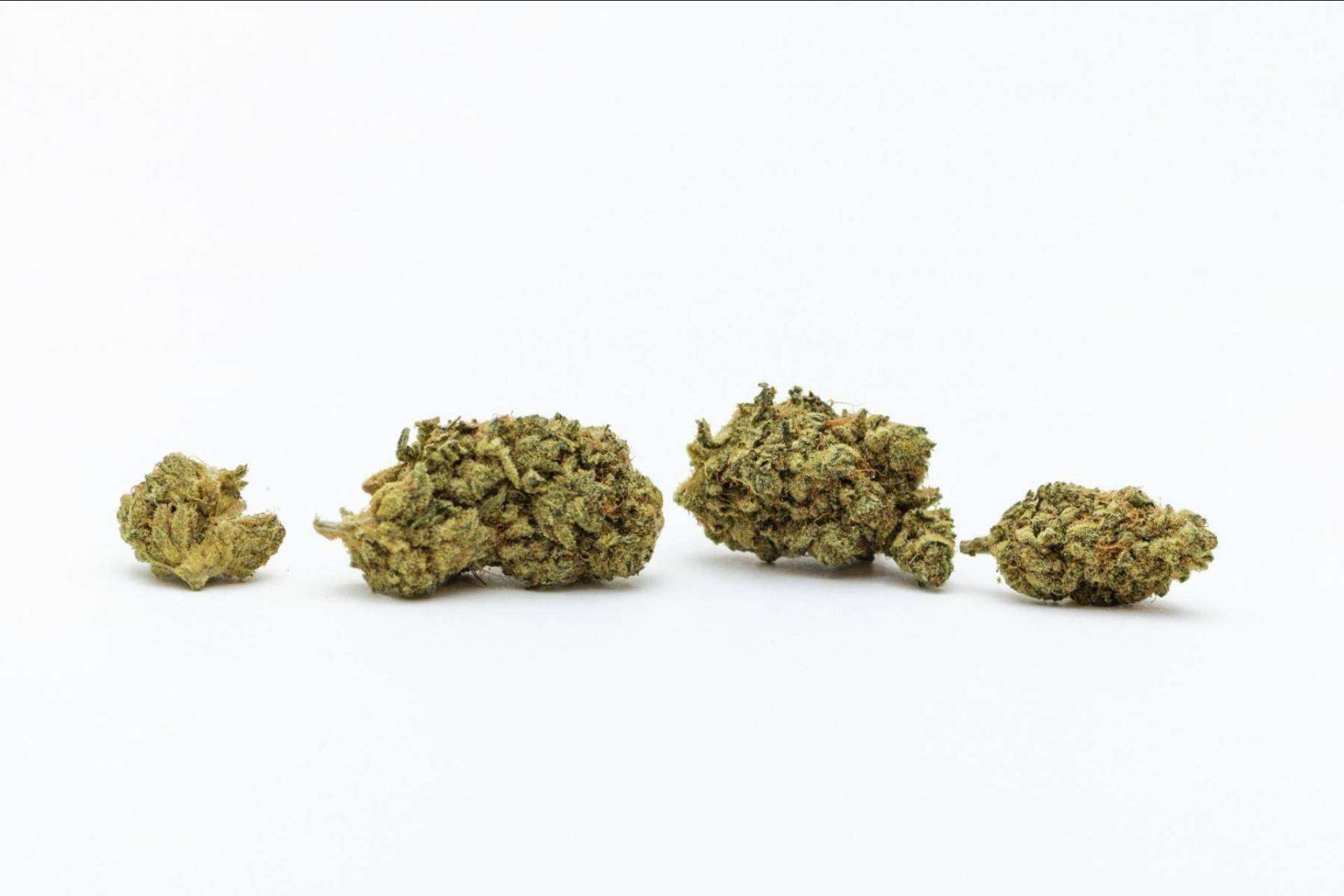 ¿Qué son las flores de cannabidiol?: De Pata Verde