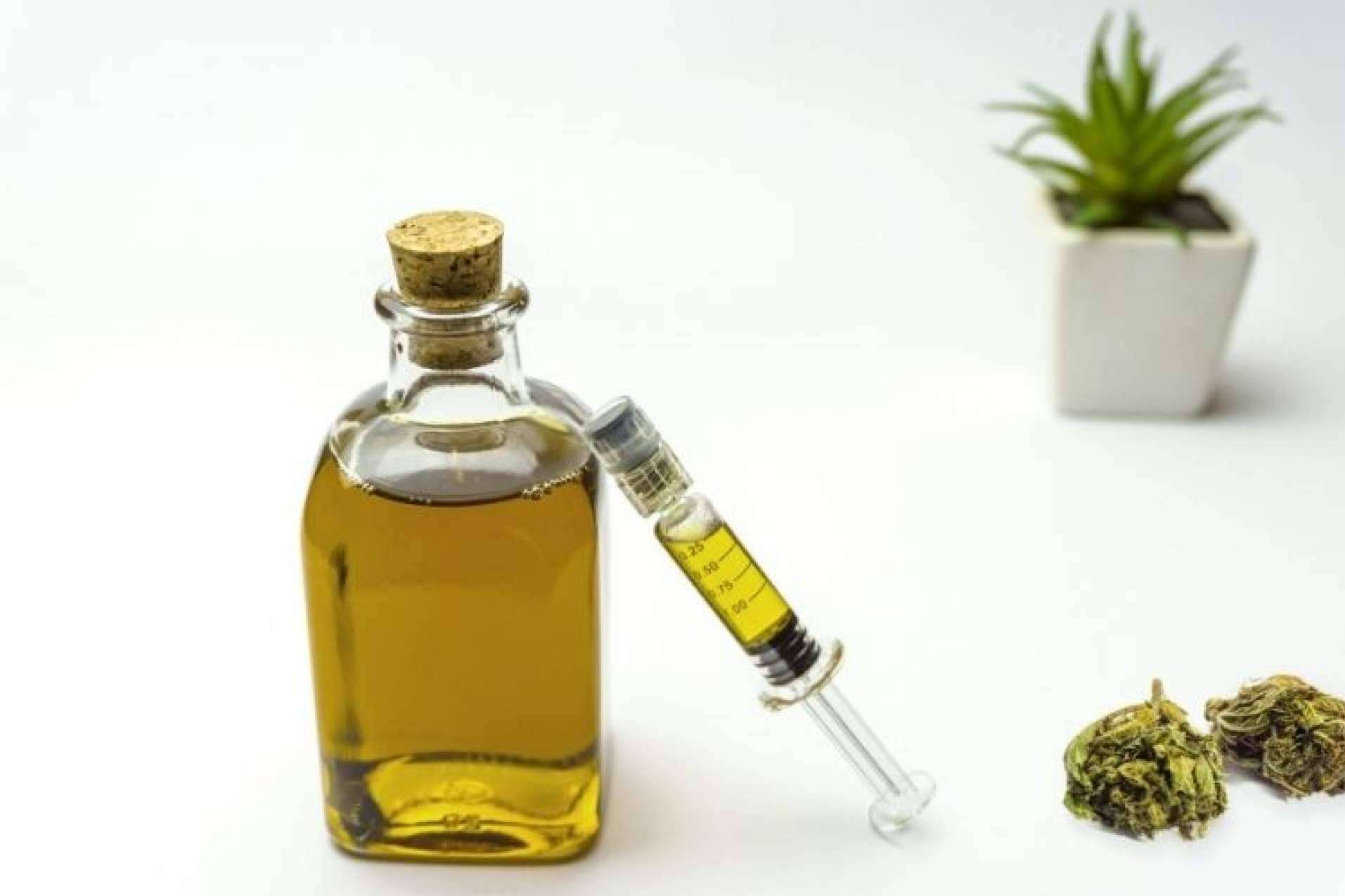 Los aceites de CBD y sus beneficios, según CBD Organics