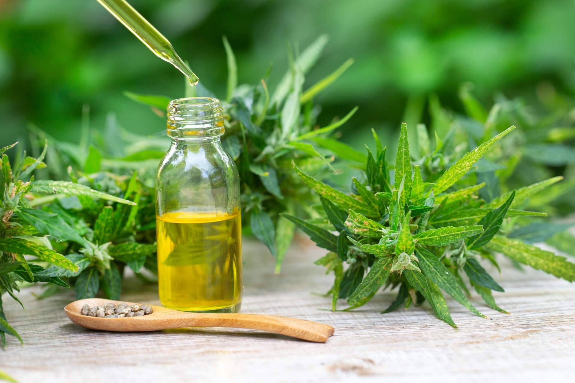 Los aceites de CBD seguros de Legal Hemp