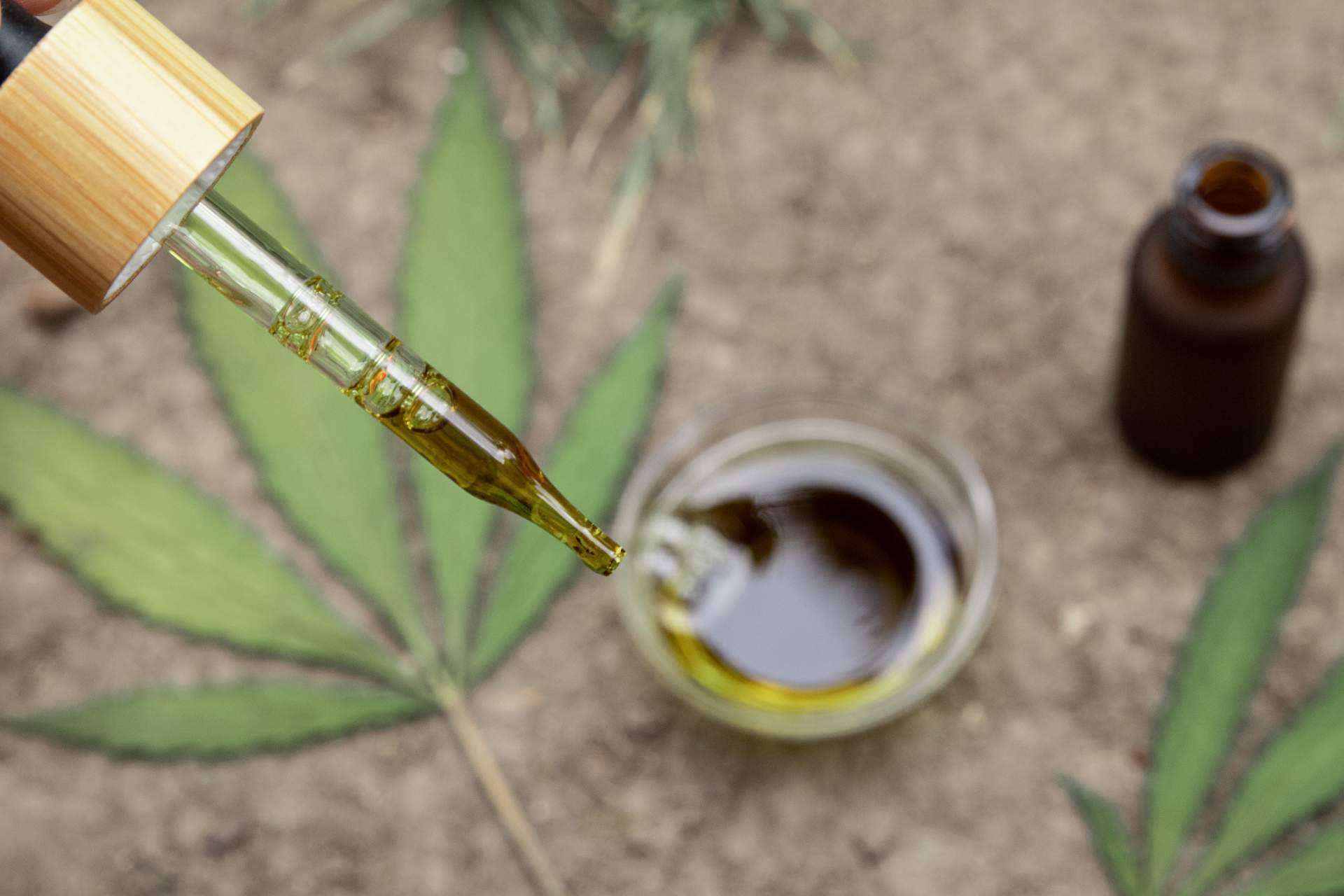 El nuevo growshop online con un amplio catálogo de productos, topgrow.es