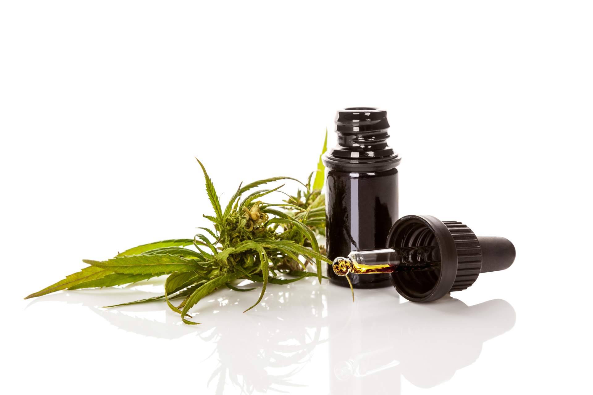Los múltiples beneficios del aceite CBD, una de las principales opciones dentro de la medicina natural