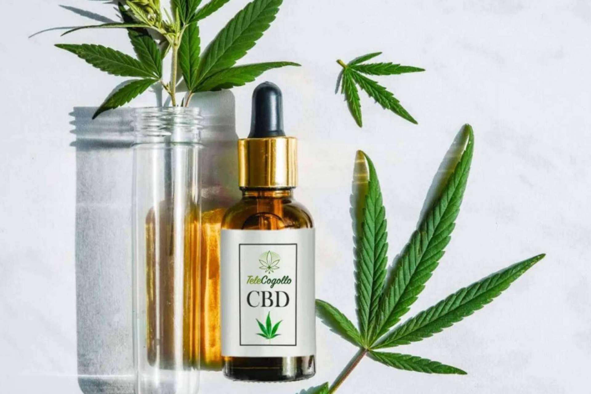 TeleCogollo, aceites CBD y otros cannabinoides