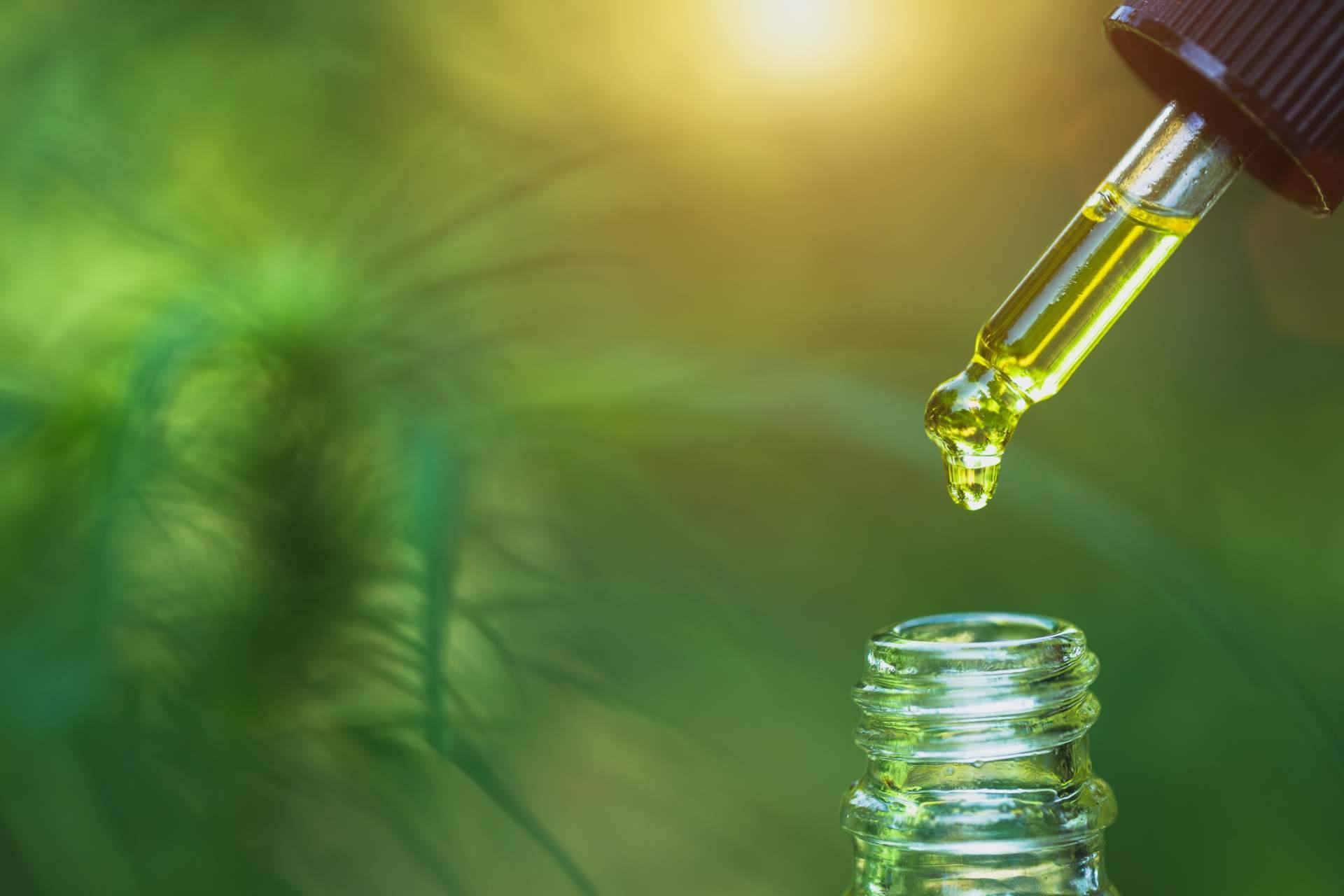 Legalhemp Biocosmetic, la tienda online que comercializa aceite CBD