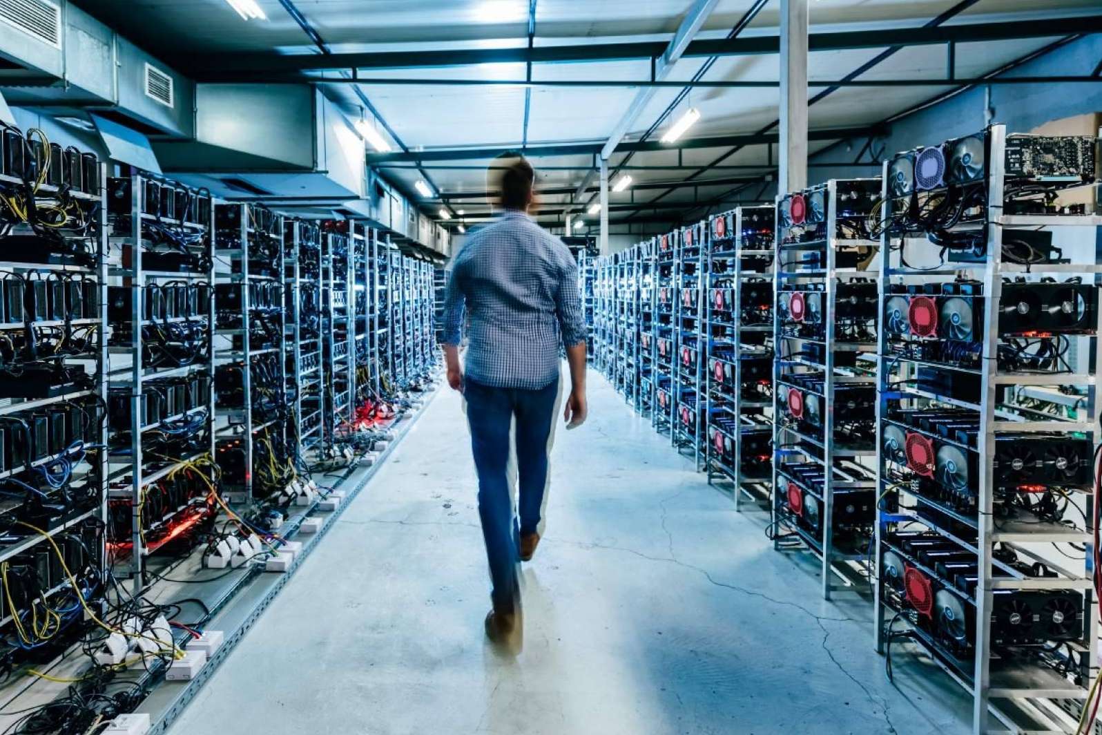 Alquiler de un espacio físico para la instalación de equipos para minar criptomonedas, por Mineros de Criptomonedas