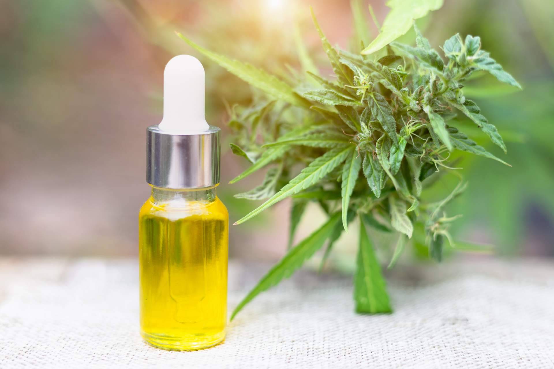 John Skate CBD y la marihuana medicinal sin THC