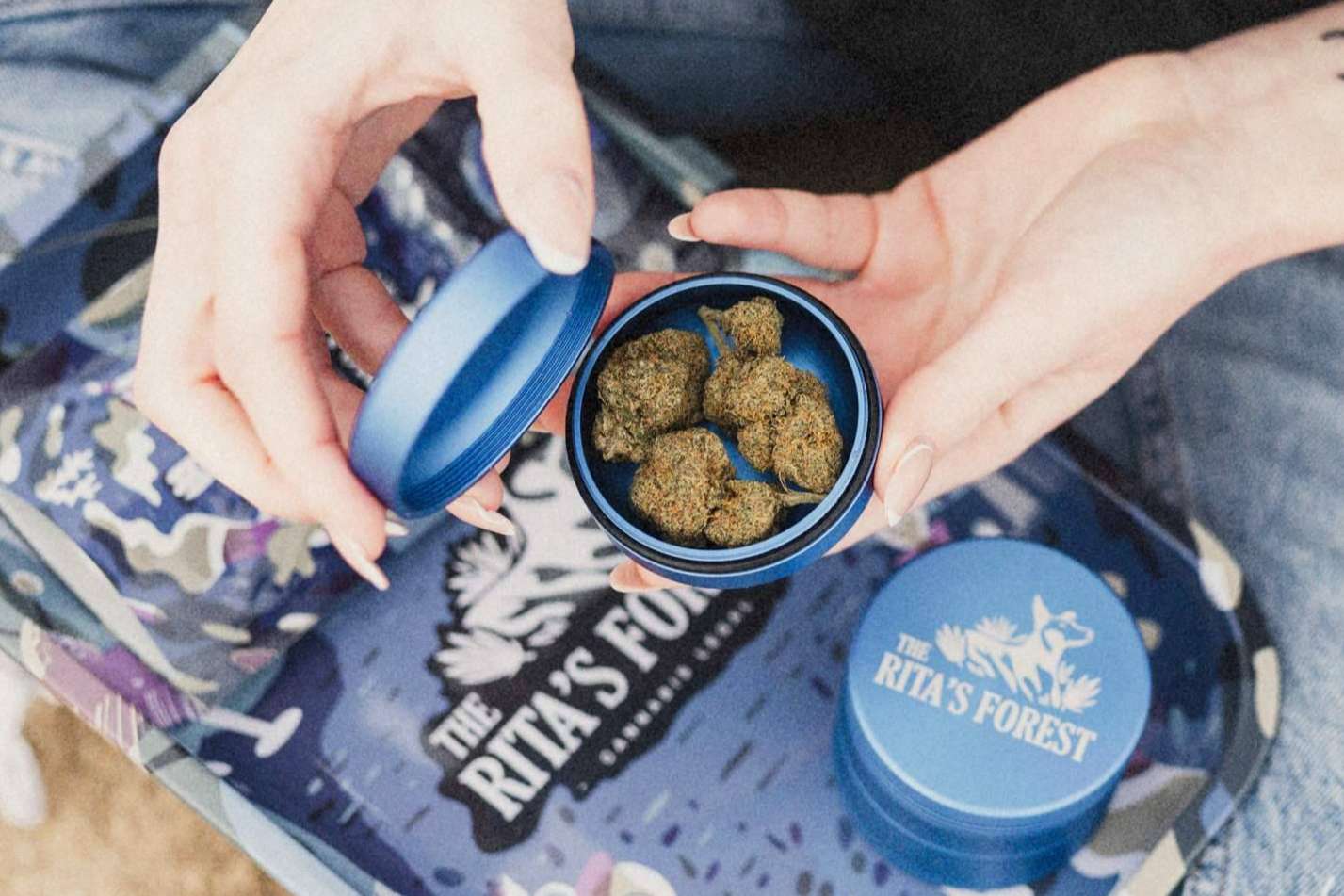 ¿Cuáles son los beneficios del CBD?, por The Rita’s Forest