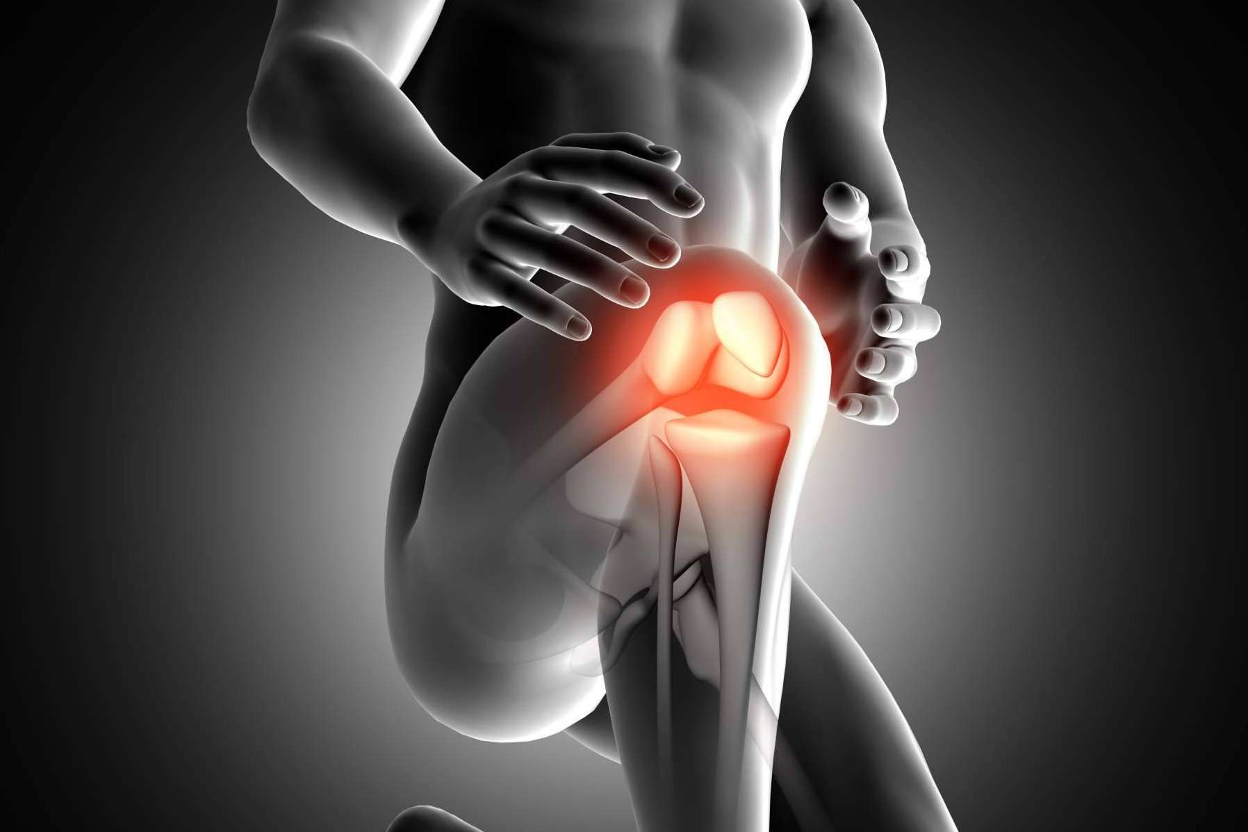 ¿Cuáles son las recomendaciones de CBD Wonderfull sobre el CBD para fisioterapia?