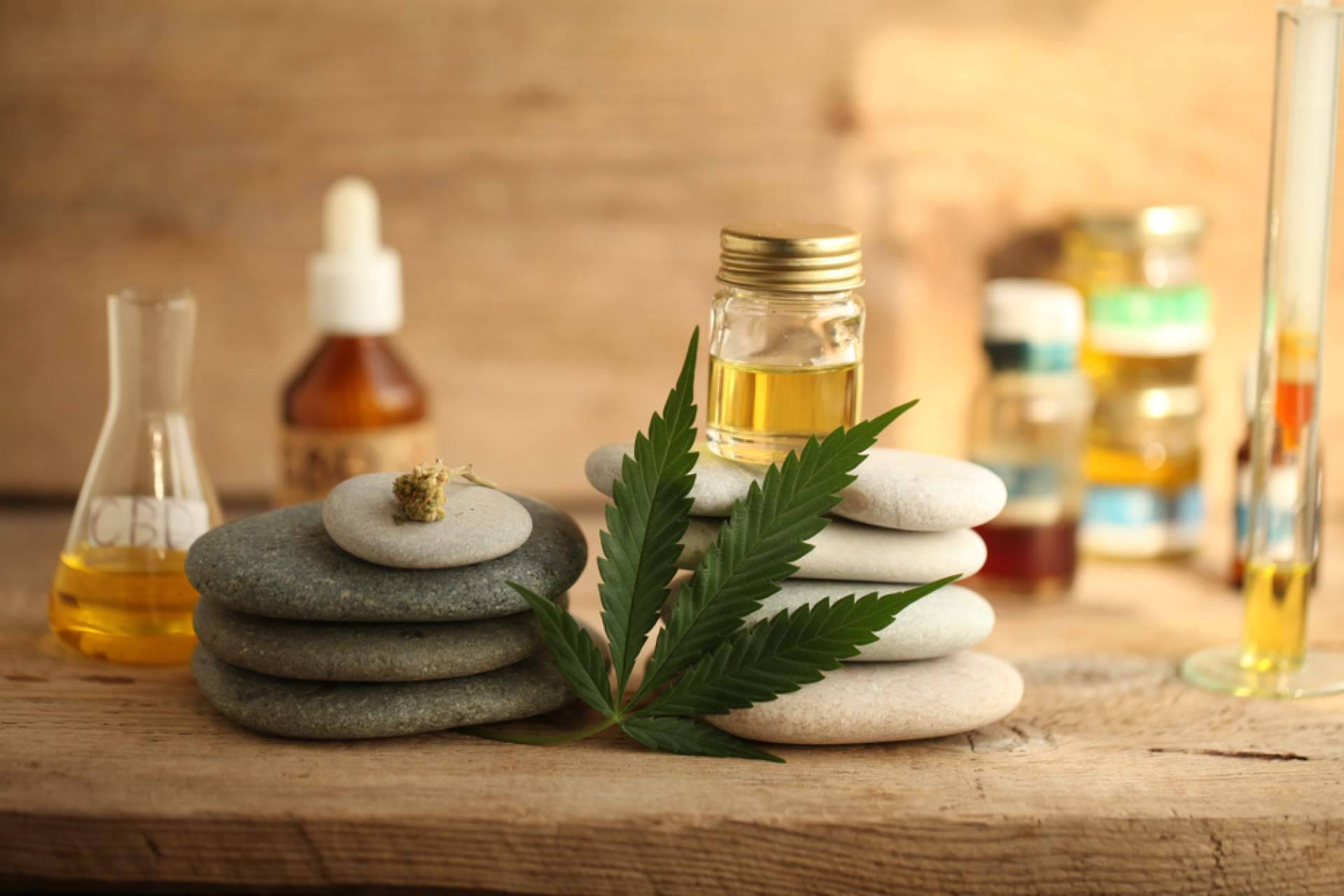 The Hemp Ground y las principales propiedades y beneficios del aceite de CBD