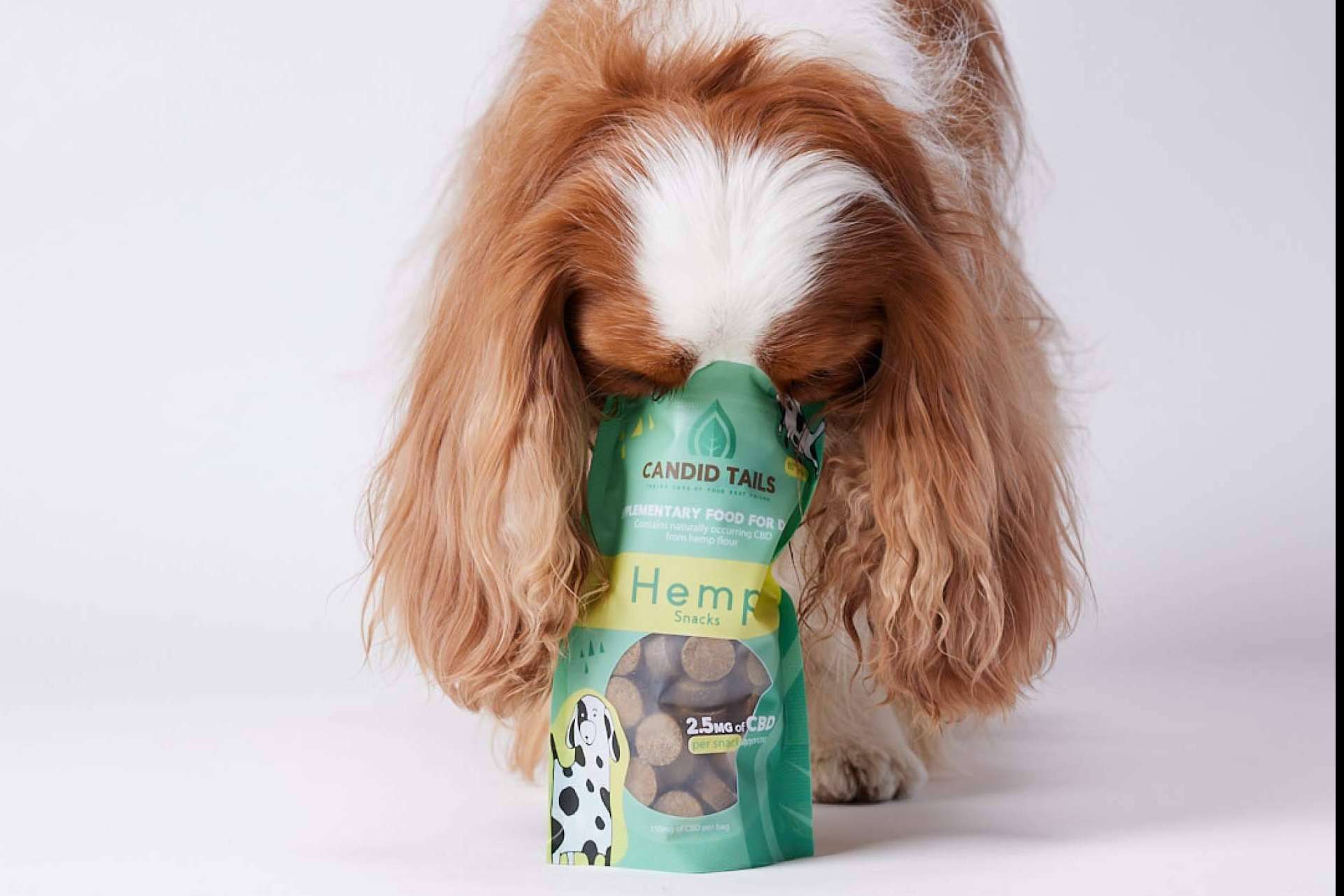CandidTails y las ventajas del cáñamo con CBD para perros