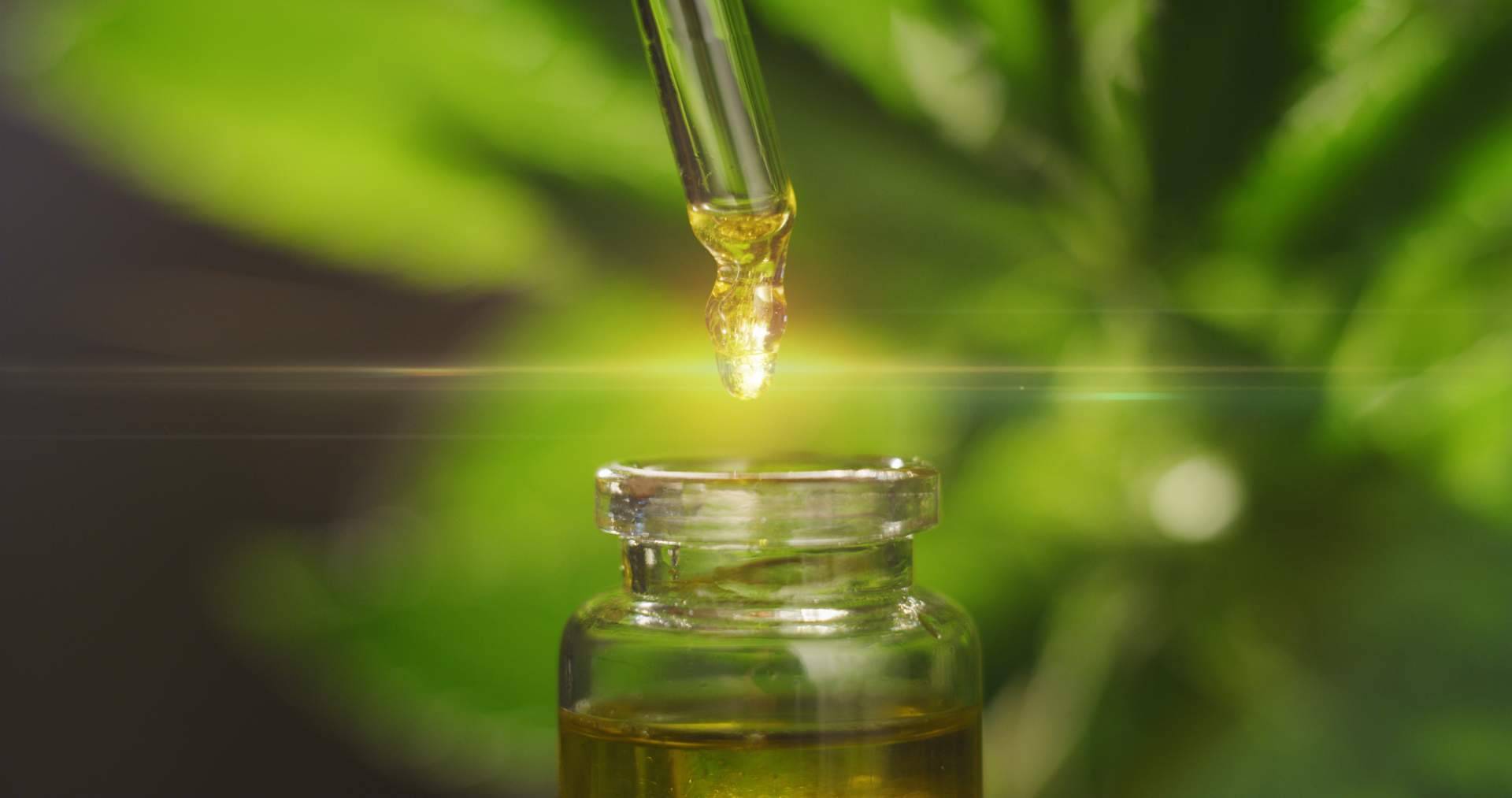 Frenar la migraña y los dolores de cabeza con el uso de CBD