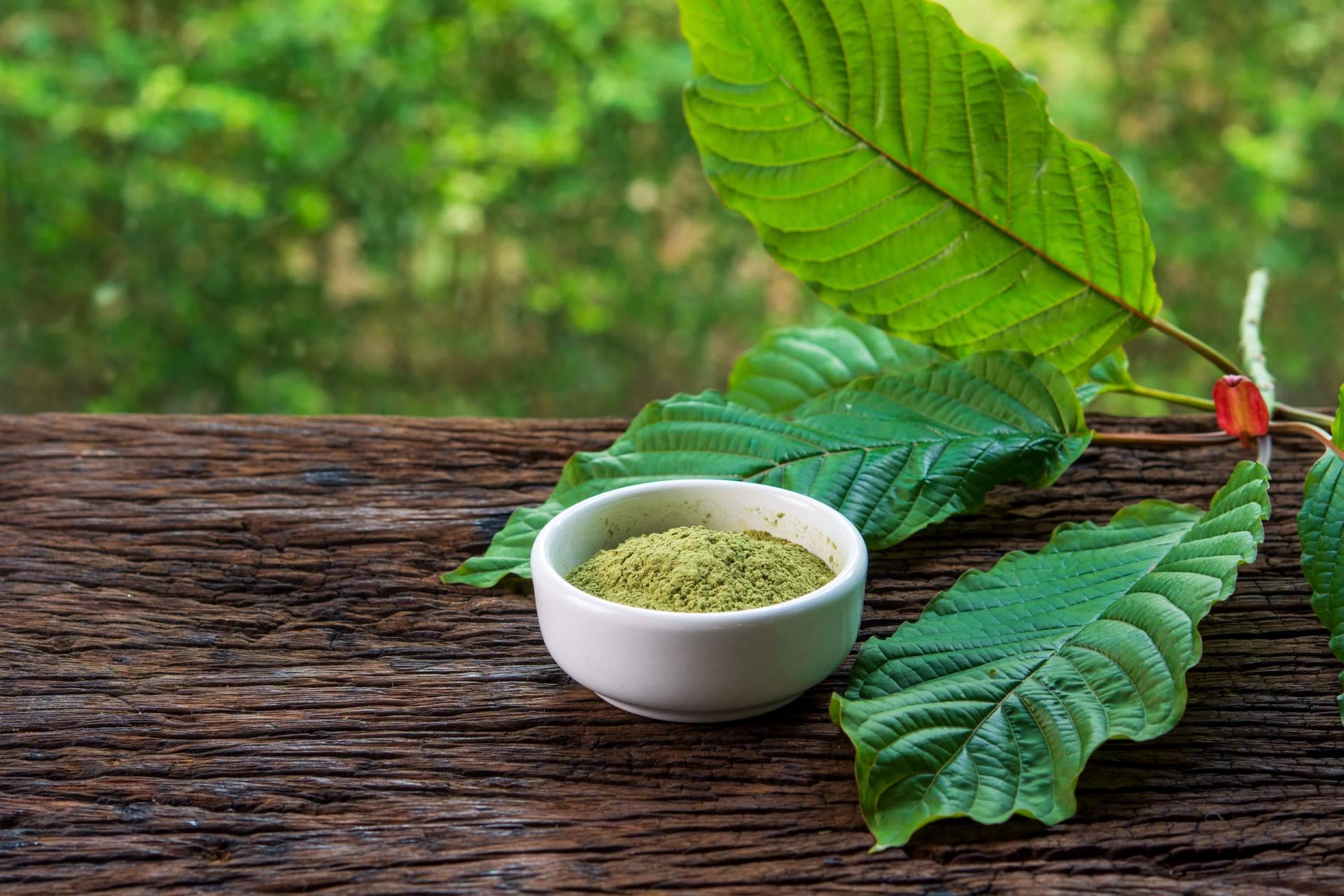 ¿Cuáles son los beneficios del kratom?, por Kratom World