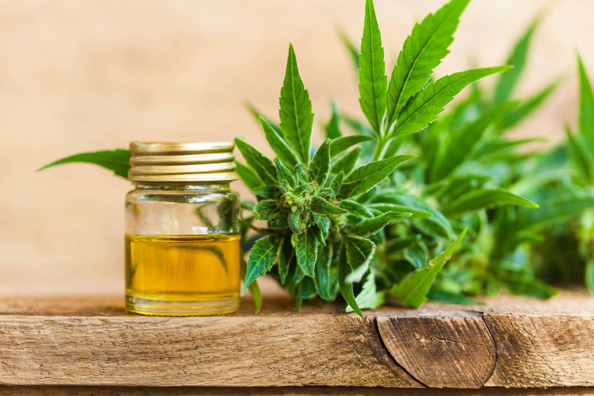 CBD Torrejón explica cuáles son los beneficios del CBD