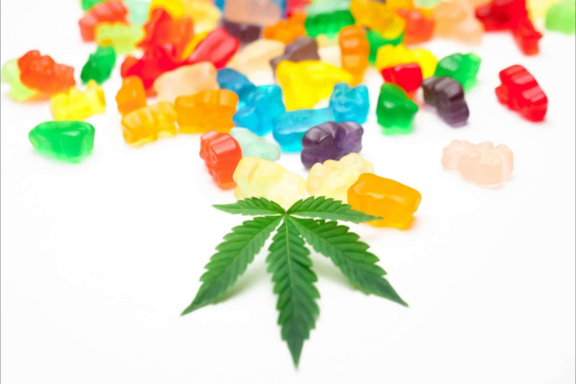 Top 5 comestibles de cannabis en tendencia de marcas americanas